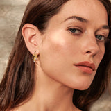 Boucles pendantes SEA