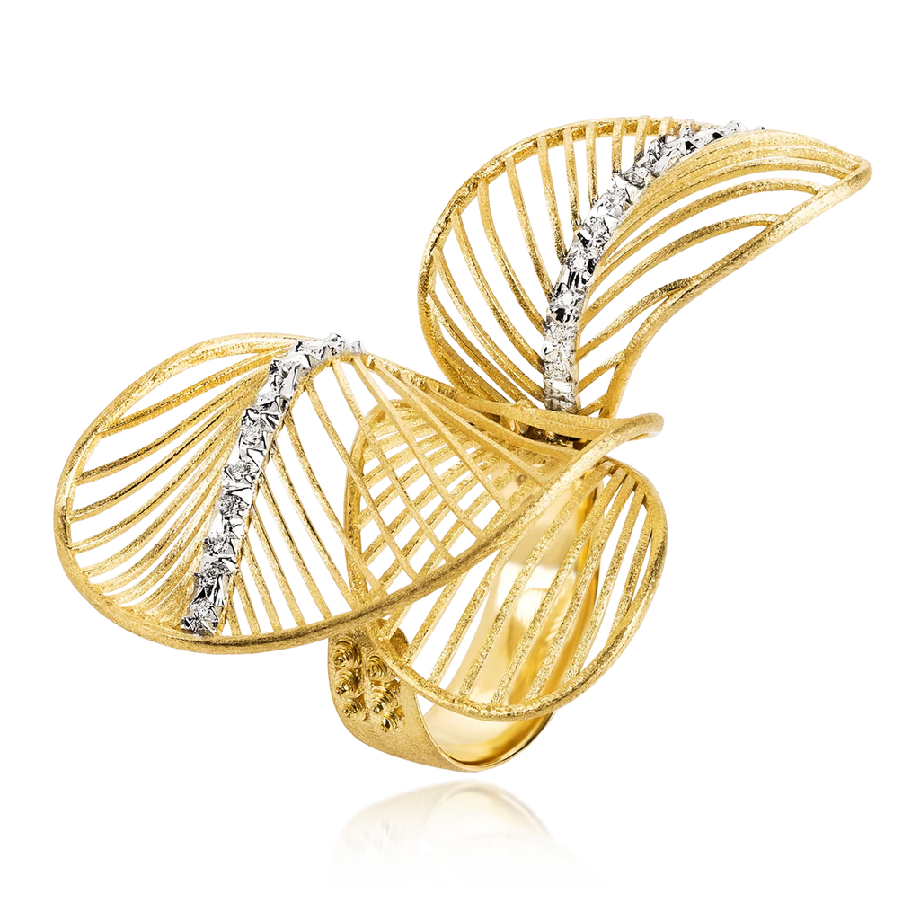 Bague Double Tribe